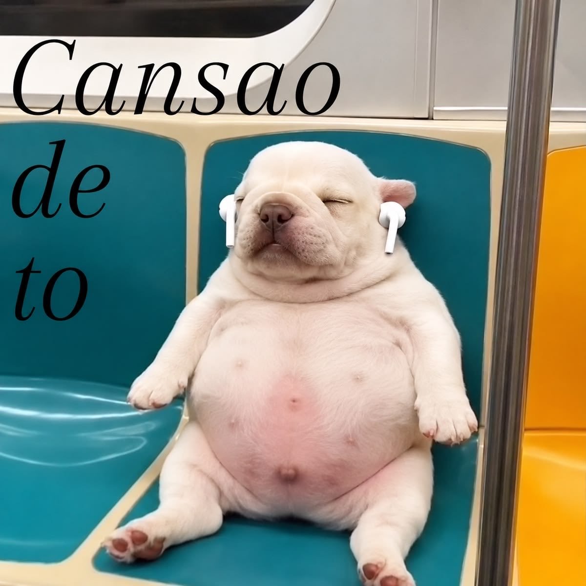 wtf_camloz's tweet photo. Ojalá ya se acaben las clases https://t.co/zcNNQylGje