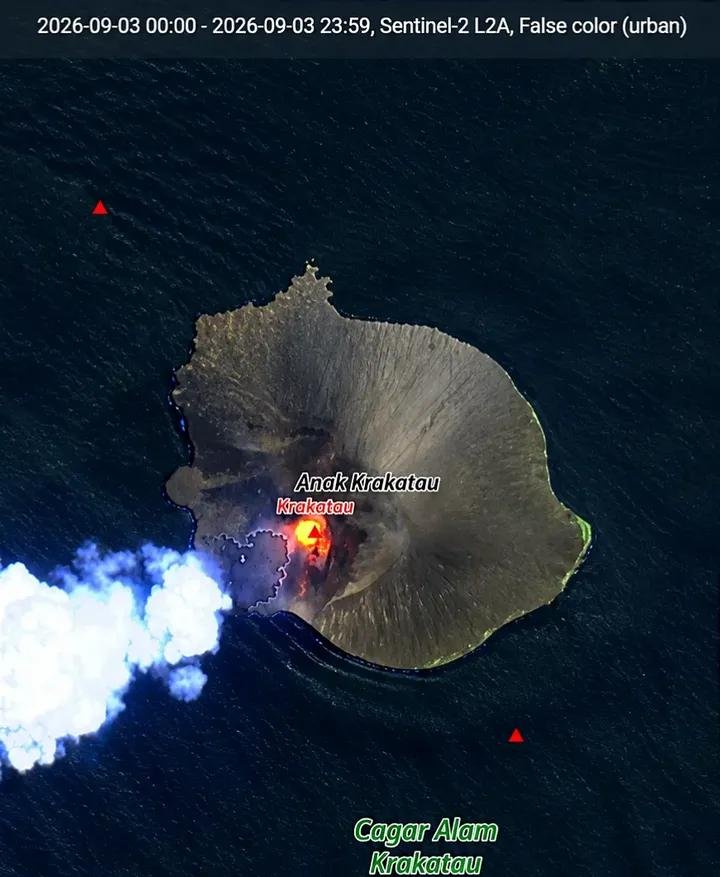 indepenSumatera's tweet photo. BUKTI DAHSHAT SATELIT SENTINEL-2! ANOMALI MORFOLOGI ANAK KRAKATAU TERBONGKAR, ALIRAN LAVA DAN AWAN ERUPSI SAPU SISI BARAT DAYA! 

Data rekaman citra satelit Sentinel-2 L2A (Copernicus) perbandingan tanggal 3 vs 8 September 2026 dalam visual False Color (Urban) membuktikan secara ilmiah betapa masifnya eskalasi letusan Gunung Anak Krakatau saat ini!

Perubahan fisik pulau dan aktivitas pelepasan magma pijar terlihat sangat nyata dan mengerikan dari ruang angkasa!

Rincian temuan fakta ilmiah dari citra satelit Sentinel-2 L2A

1. Perbandingan Fase (3 Sept vs 8 Sept 2026)

- 3 September 2026: Kondisi relatif tenang, hanya terdeteksi anomali titik panas kecil di dalam kawah utama.

- 8 September 2026: BOOM! Terjadi erupsi besar. Warna merah menyala mengonfirmasi adanya akumulasi aliran lava/lahar panas yang meleleh hebat ke sisi barat daya pulau!

2. Perubahan Morfologi Pulau & Kolom Abu
Awan putih-biru tebal yang melayang ke arah barat adalah kolom abu vulkanik dan awan panas erupsi yang terbawa angin. Penumpukan material vulkanik baru yang sangat masif membuat bibir pulau di sisi barat daya mengalami perluasan daratan (perubahan morfologi) secara mendadak!

3. Validitas & Ketajaman Visual
Meskipun citra asli dari Copernicus mengalami pemrosesan AI upscale 4K untuk memperjelas batas detail visual, pola geofisika, tutupan abu, dan titik anomali termal lurus dan konsisten dengan laporan kegempaan harian PVMBG (73 kali gempa hybrid & tremor menerus)!

Eskalasi eksplosif dan erupsi lava pijar ke laut ini menegaskan betapa bahayanya area perairan Selat Sunda saat ini! Keselamatan tim SAR yang sedang mencari 5 jurnalis hilang kontak harus memperhitungkan dinamika vulkanik ekstrem ini!

Tuntutan kesiapsiagaan darurat untuk PVMBG, Basarnas, dan BPBD
- Perlunya pemantauan visual real-time dan pemetaan risiko tsunami runtuhan lereng/flank collapse akibat perubahan morfologi cepat di sisi barat daya!
- Sterilkan total radius bahaya perairan Anak Krakatau dari seluruh aktivitas nelayan, wisata, dan kapal swasta!

Rekan-rekan pengamat geologi, kawan-kawan Banten, Lampung, atau masyarakat umum: Gimana analisis kalian melihat perubahan morfologi Anak Krakatau lewat satelit ini?