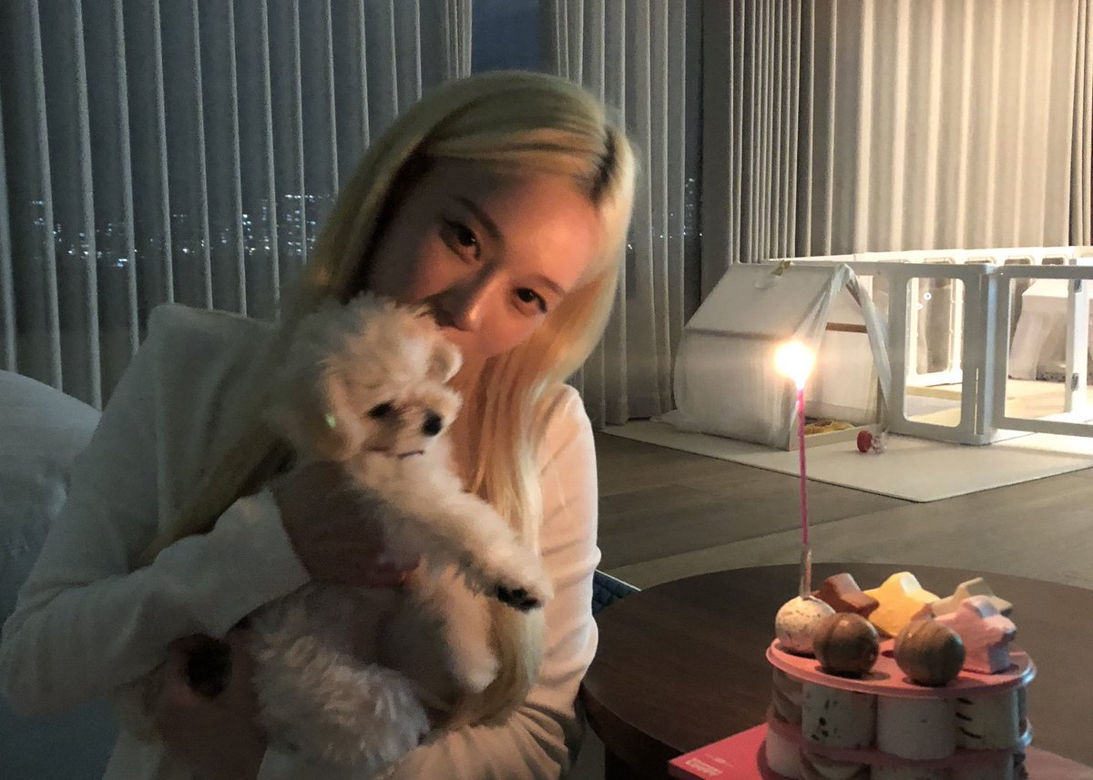 minjeongei's tweet photo. Petite paws &amp;&amp; serpentine wäys https://t.co/M5yUpkIfCd