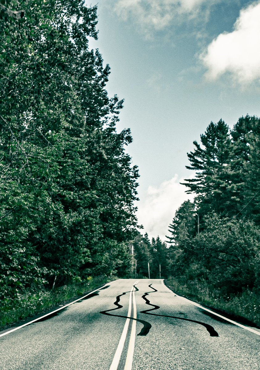 fotogosaurus's tweet photo. skid https://t.co/ZXSDa1nklM #VT #Vermont #NewEngland #Skid #SkidMarks #TireMarks #Road #CountryRoad #Kids #moment #think #reflect #stop #Go #DoubleYellowLines #pavedRoad #OutInTheCountry #remember #lookBack #OnTheRoad #FromTheCar #September #Canon #Summer #FallComing #wonder https://t.co/wQOtlodw5D
