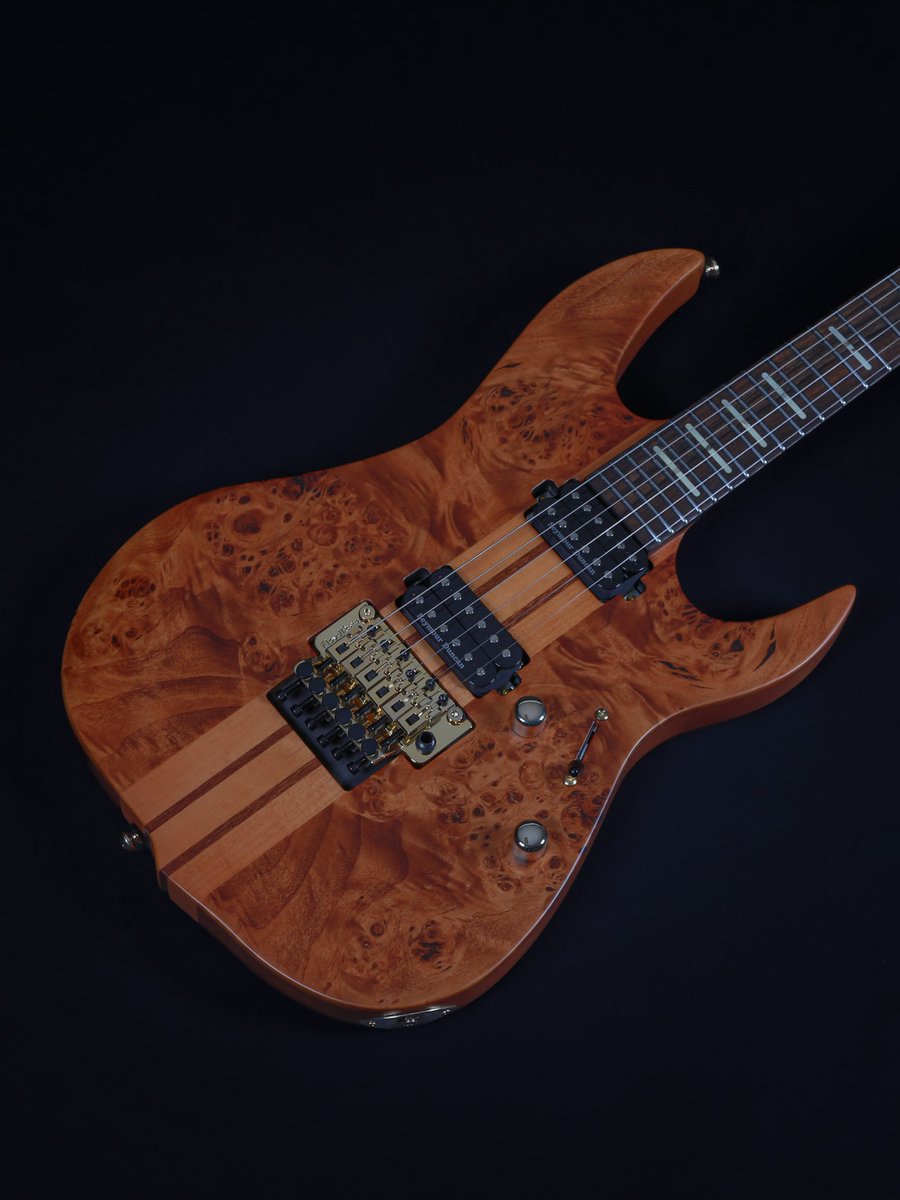 sireusaofficial's tweet photo. With its neck-through construction, North American Alder body, Poplar Burl top, and 5-piece Mahogany neck, the Sire X10 is built for players who like to push their playing. Seymour Hear how @j__mick puts the X10 to work and see how it sounds in action. #SireGuitars #JoyOfMusic https://t.co/UhIeSfW0Sa