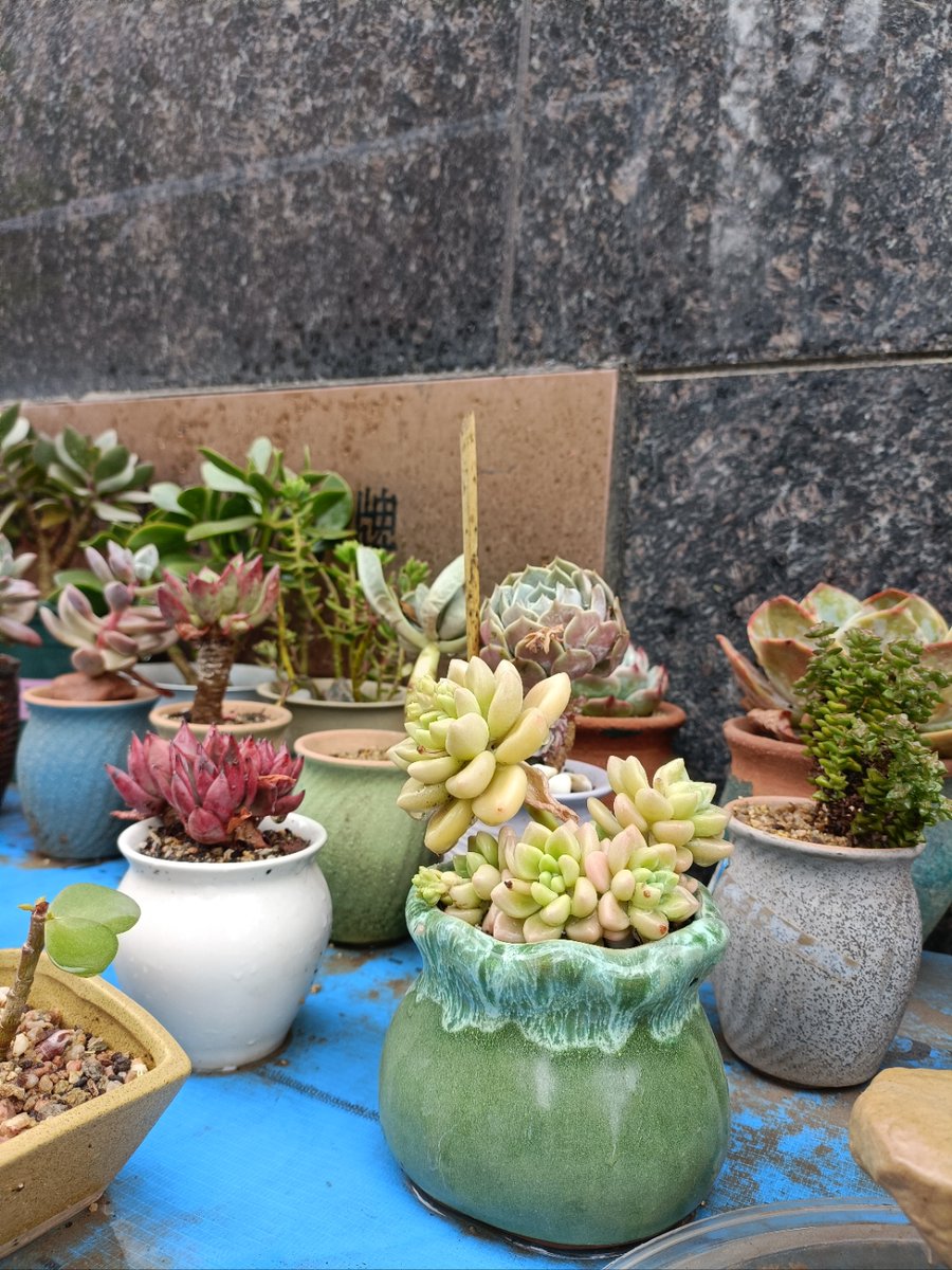 gominolaskanker's tweet photo. Transform your desk into a productivity hub with just a small potted succulent, a stylish organizer and warm desk lamp—small touches make big daily differences! https://t.co/IAZNvLkt3u