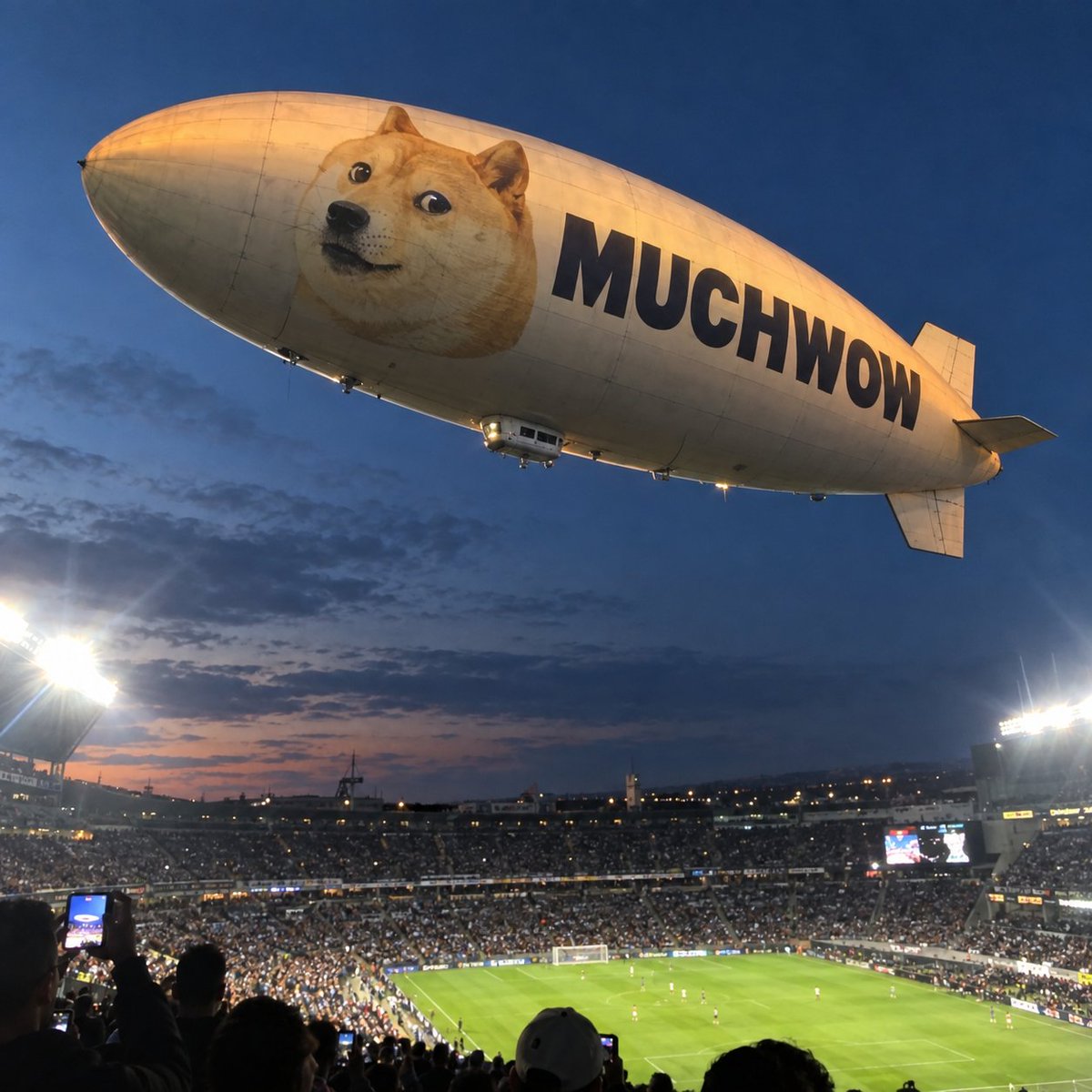 MuchWowOnDoge's tweet photo. much wow . such big . very coolest https://t.co/bar8sFTPkP