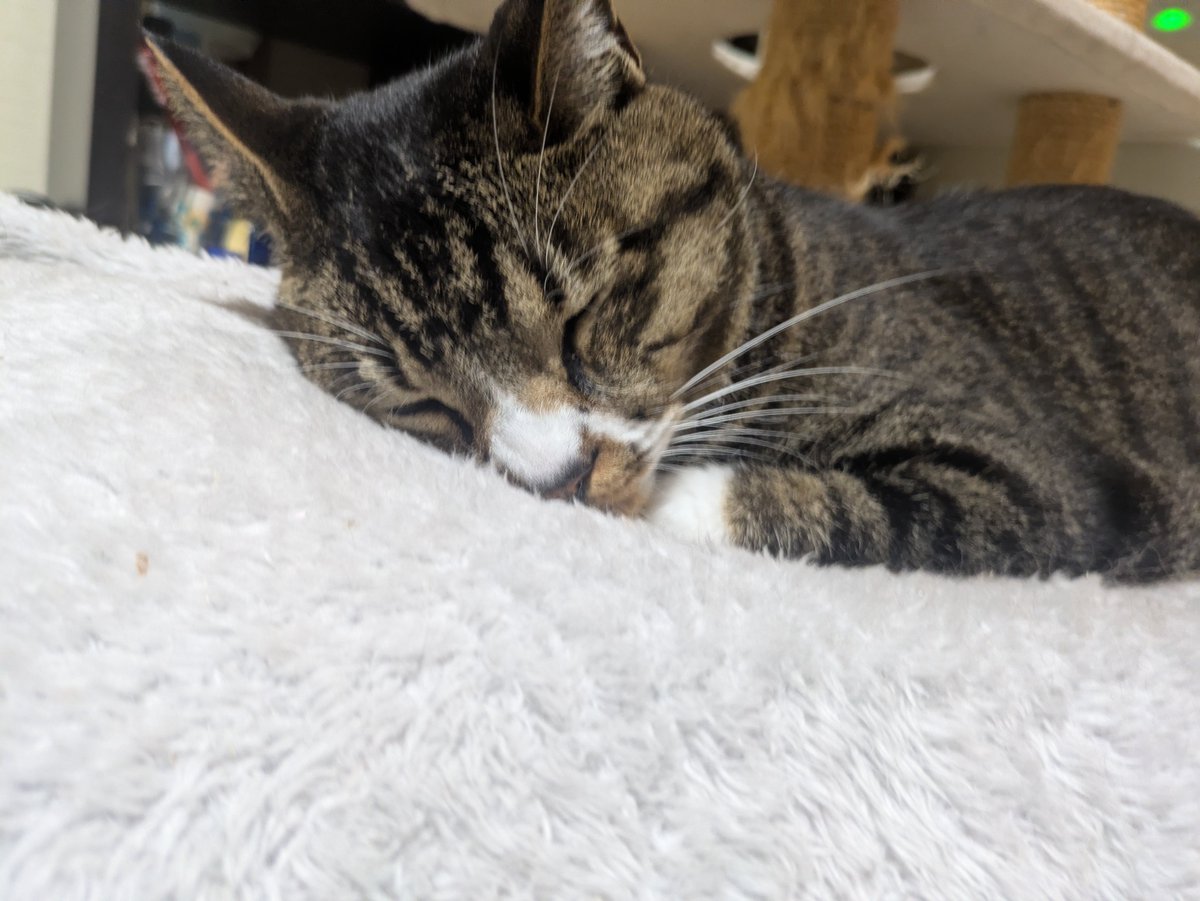 COBOLAD's tweet photo. この状態で吸えますか? https://t.co/pt1qlLwlFj