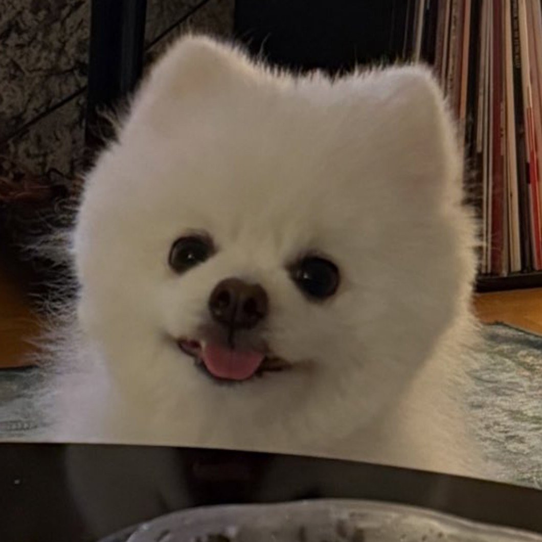 eepyjisu's tweet photo. funny lil thing she is isn't she https://t.co/GuFdkzKoCz