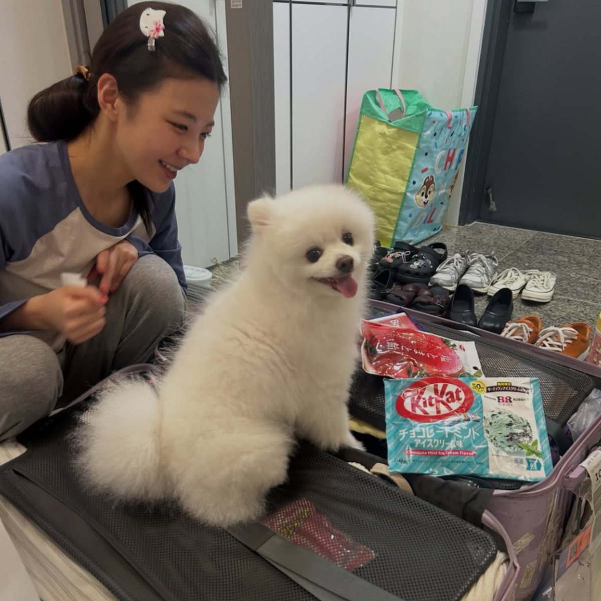 eepyjisu's tweet photo. she wanted to go with her ☹️ https://t.co/NwSm9mrimr