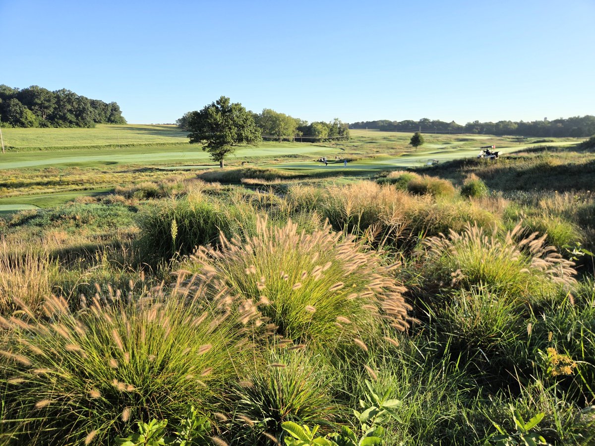 FromTheProShop's tweet photo. We hope everyone enjoyed their holiday (you earned it!). The weather was PERFECT &amp; the course held up great with all the play. Now, let's get ready for FALL GOLF!!! https://t.co/sYUT7WvFq7 https://t.co/GJYkesZHDa