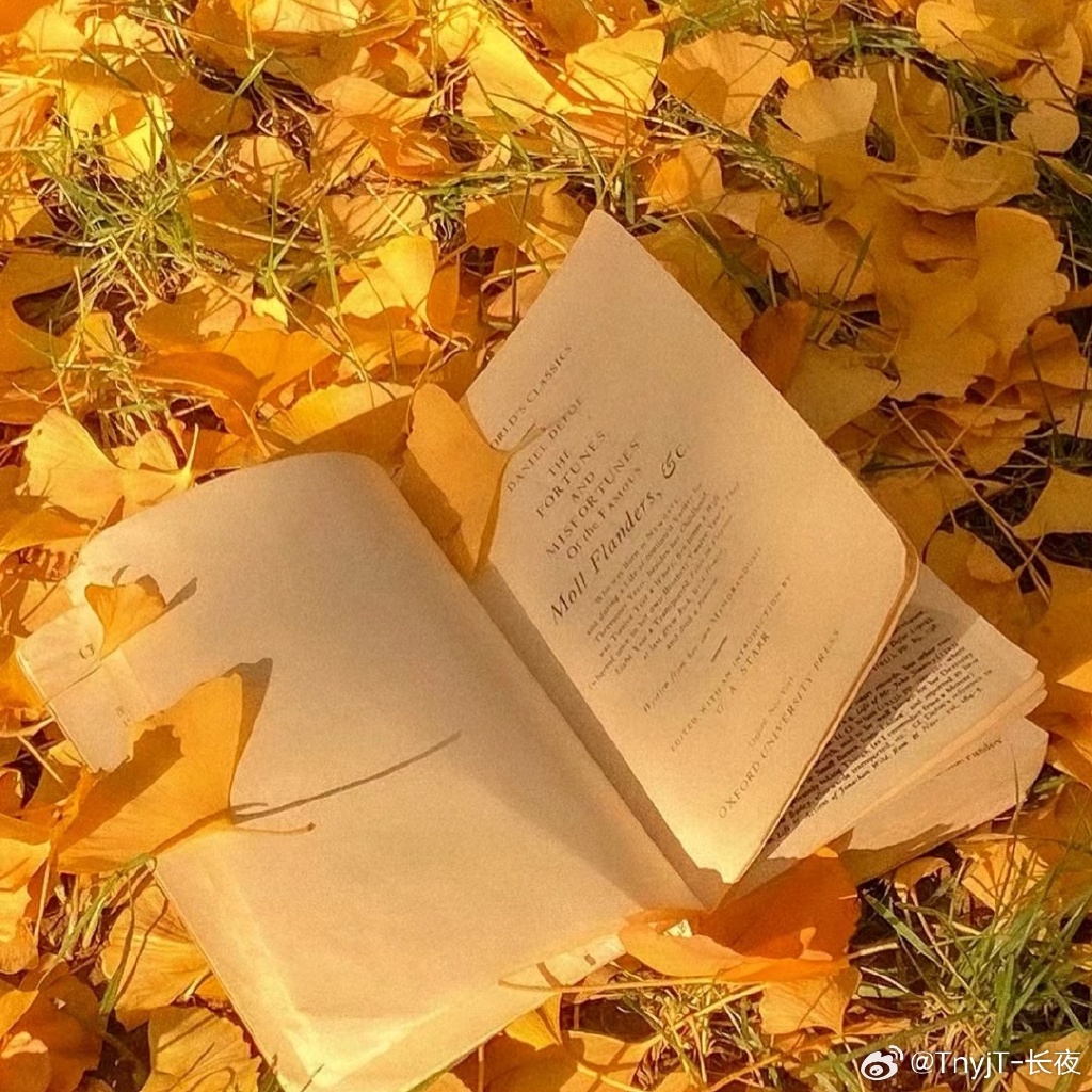 HamzaDemirmqeb's tweet photo. A crisp autumn breeze, golden leaves crunch underfoot, perfect for a hot pumpkin latte and a cozy walk after work. https://t.co/udTXKR5ejw