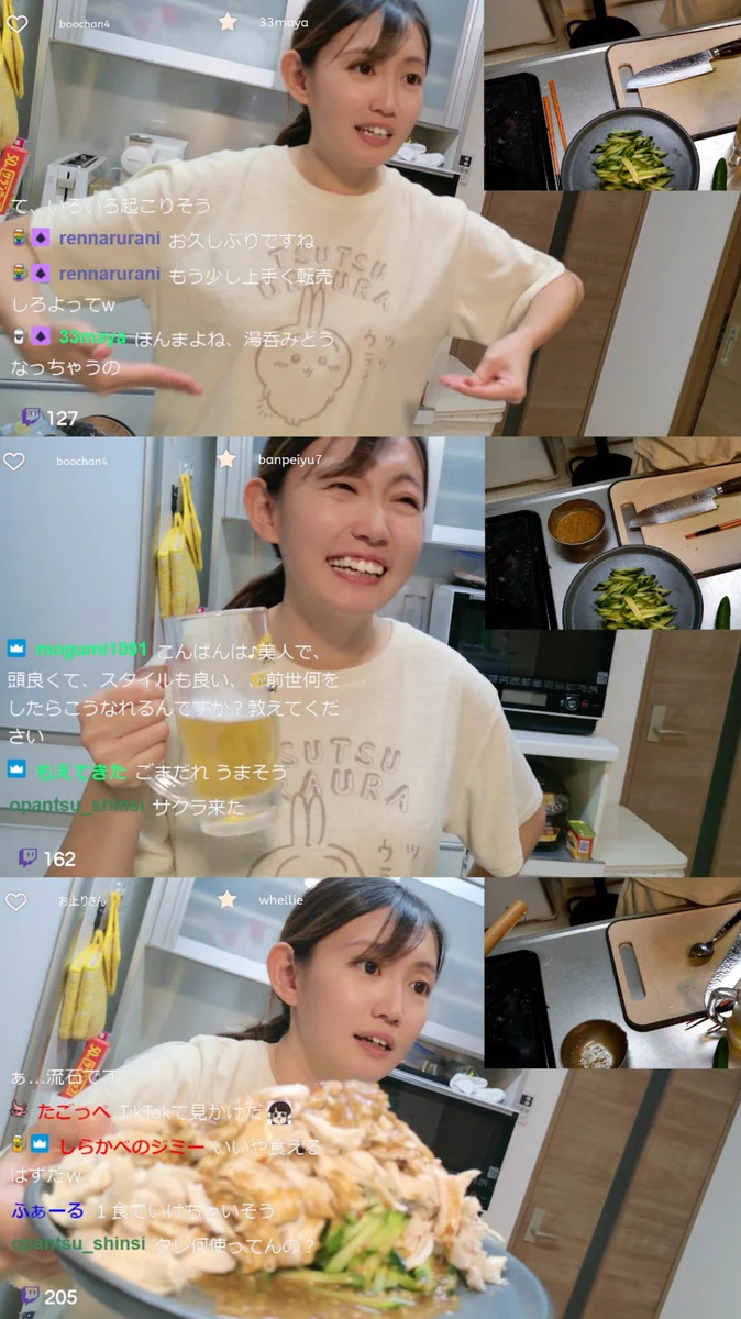 活動歴および当時の関連ビジュアル記録