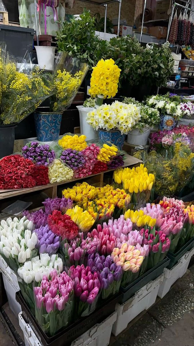 FLOWERS3700's tweet photo. https://t.co/10vrpmOywE