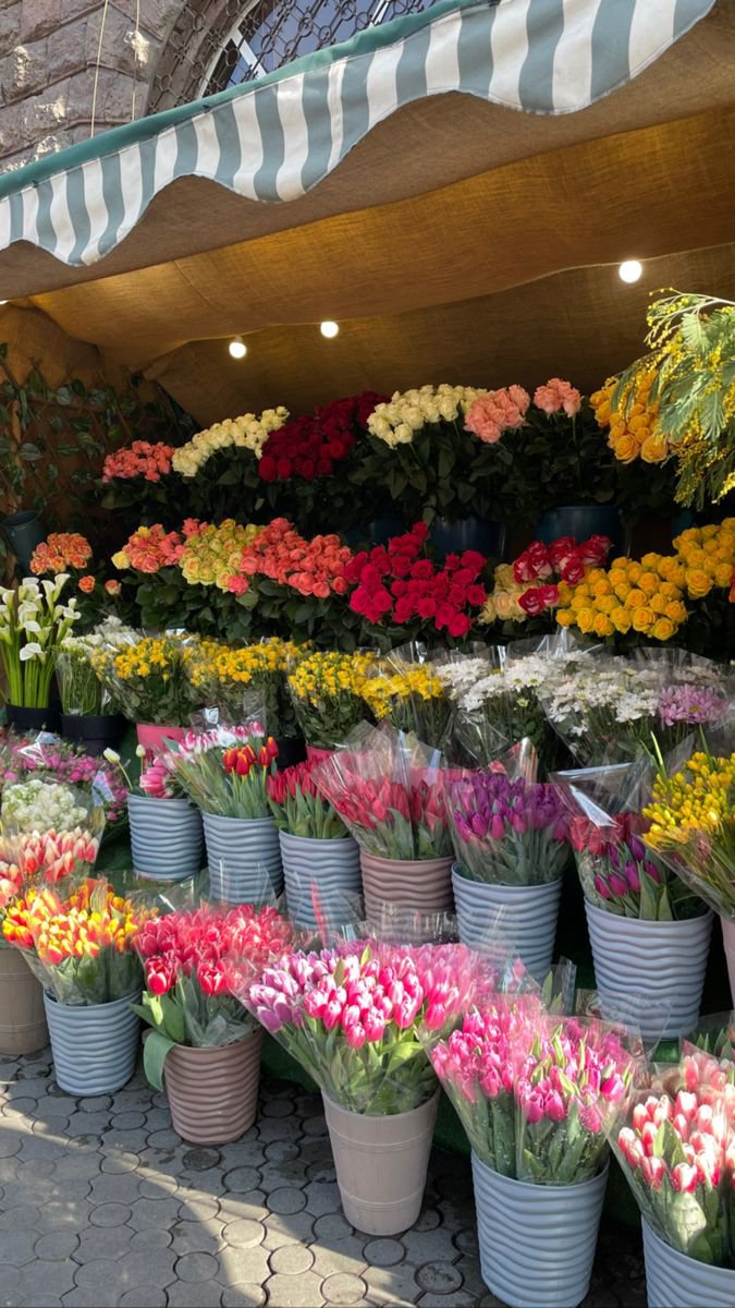 FLOWERS3700's tweet photo. https://t.co/10vrpmOywE