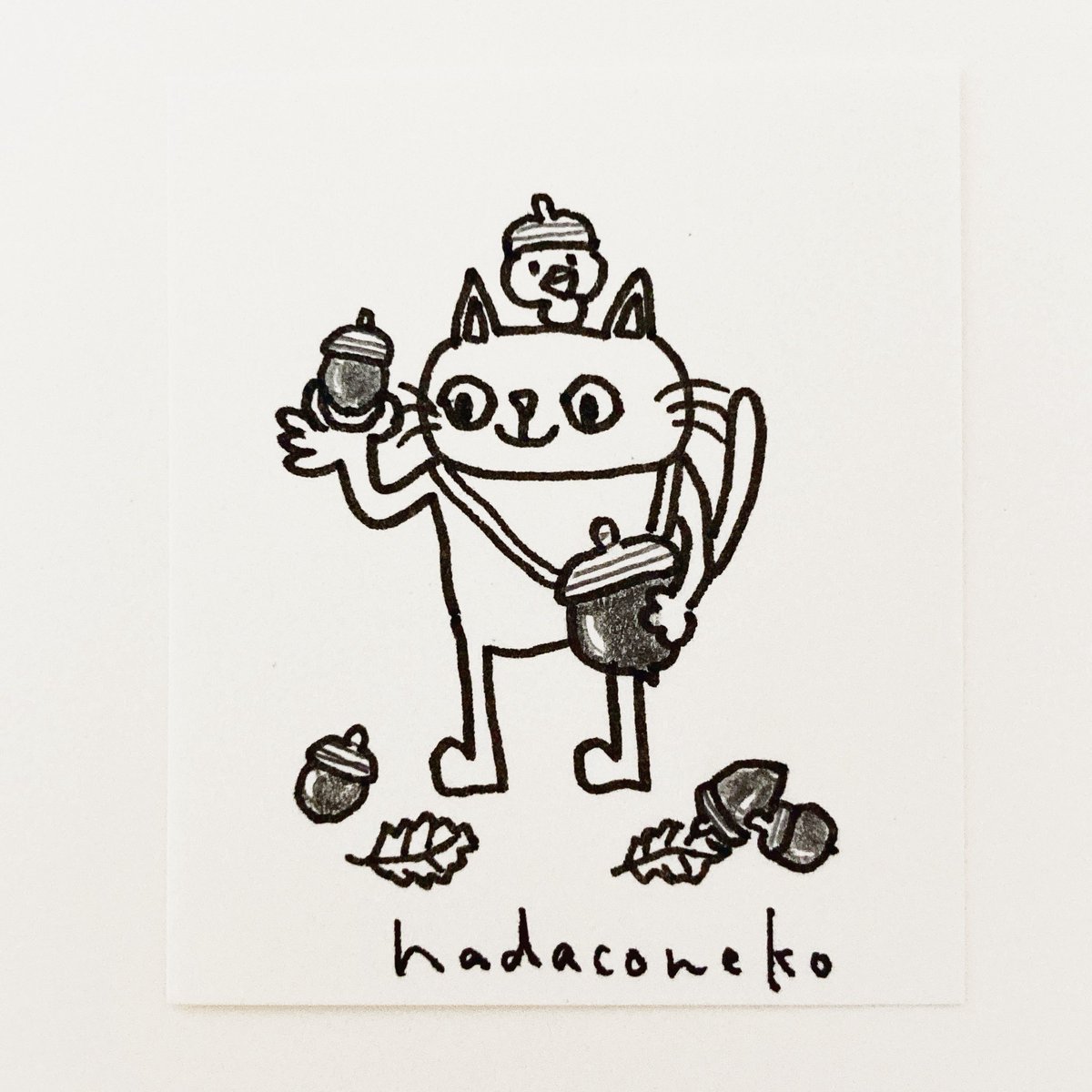 hadaconeko's tweet photo. 今日のイラストはコレ(*´ｪ`*)
『どんぐりを集めてる猫』
#イラスト #猫 #cat #illustration #猫イラスト #貓 https://t.co/gVg6o3ymhv