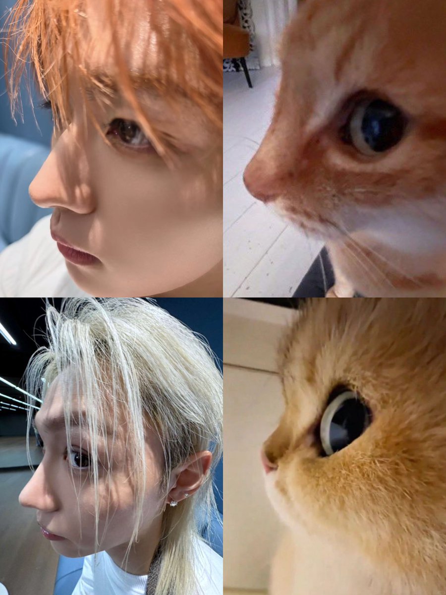 felovelylix's tweet photo. 정말 웃기고 귀여운 인터넷 세상 https://t.co/rfIOzLpgNB