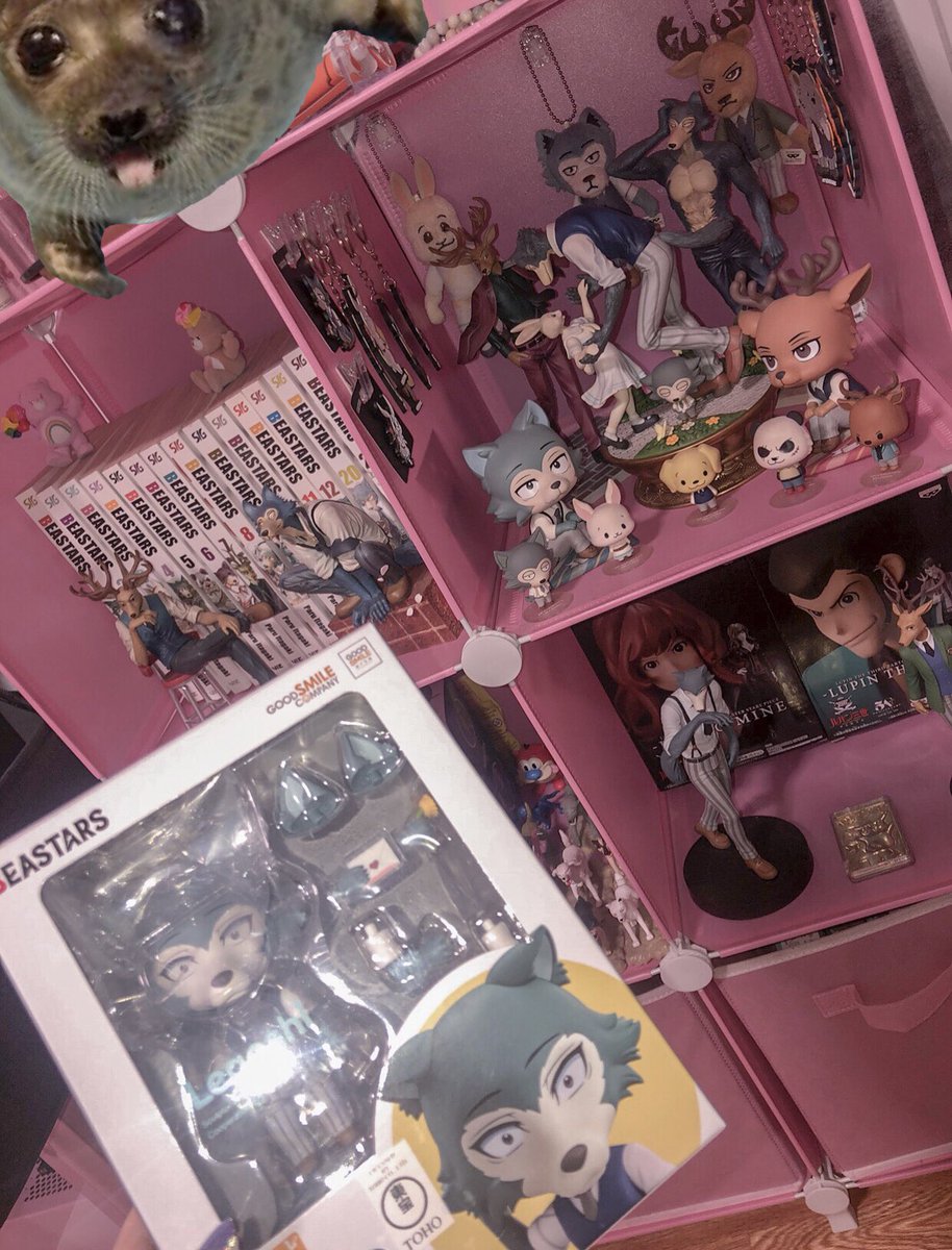 zhvachhka's tweet photo. happy belated 10th beastars ❤️ https://t.co/9MOkoN8PvA