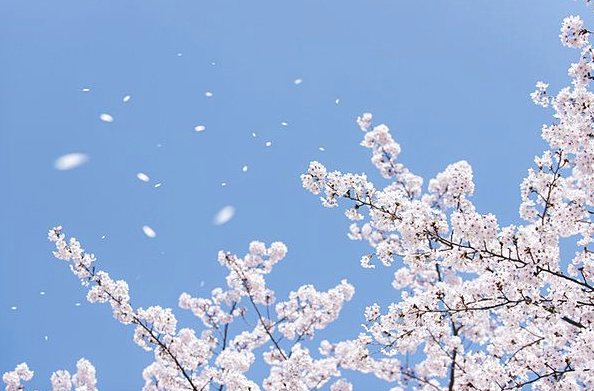 Dornendrache's tweet photo. BtoB企業もUGCを取り入れよう。あるIT企業は顧客の成功事例を紹介した結果、リードが30%増加した。人の声が信頼を生む時代だね。あなたの会社ではどんなUGCを活用できる？ https://t.co/nqHMU8Be4T