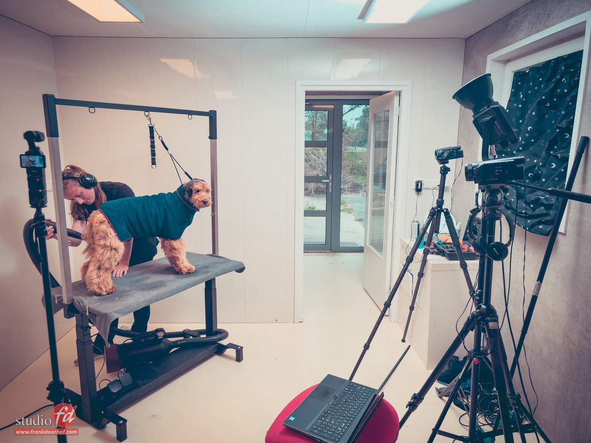 frankdoorhof's tweet photo. when filming tutorials always keep your hearing protected 😉
#AQCOLOR #alphapro https://t.co/Wmm8ITXxwj