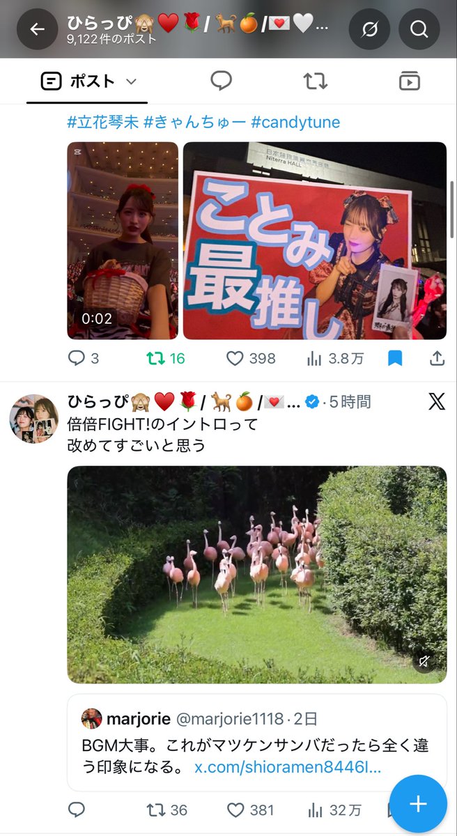hirappy_fz's tweet photo. 人気順で並べたときに
こっちゃんから直接🍬をもらえたツイートが
フラミンゴに抜かれてく、、 https://t.co/g4eTzQD5rb