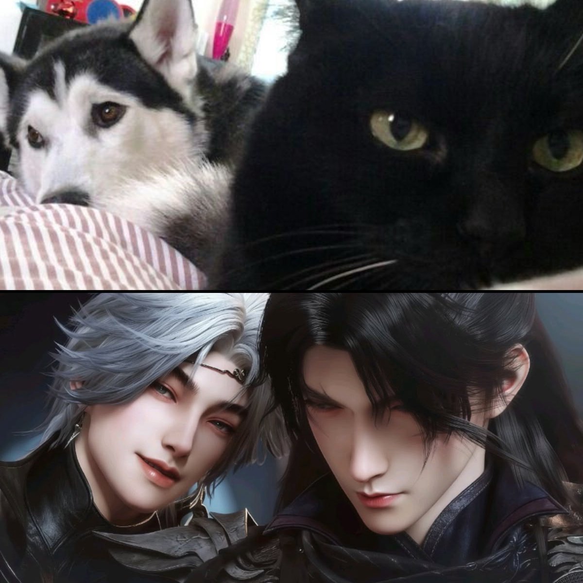 takemybear's tweet photo. หัวขาวชอบหัวดำ https://t.co/ZodgWIMU92