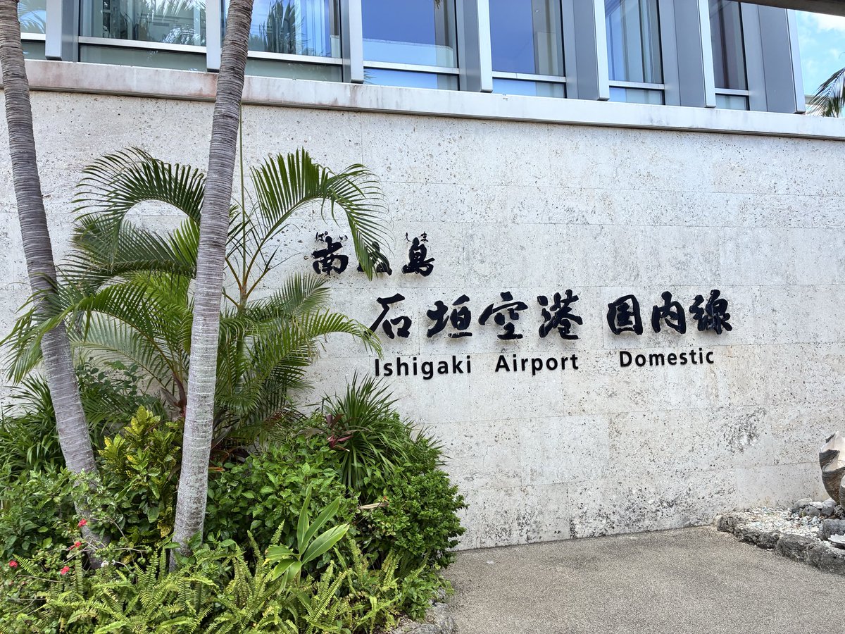 RJinsect's tweet photo. 今年も石垣島へ
今年こそサキシマヒラタに会えますように https://t.co/5cf9UG5eYm