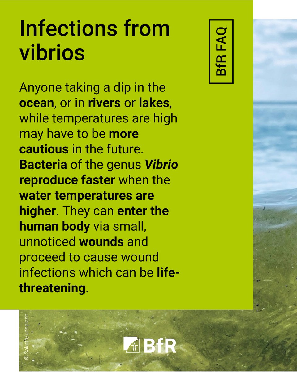 bfren's tweet photo. Warmer bodies of water and infections from vibrios: is there a connection?

Learn more in our FAQ: https://t.co/W54ehqFCeK https://t.co/j8GuLCO8nR
