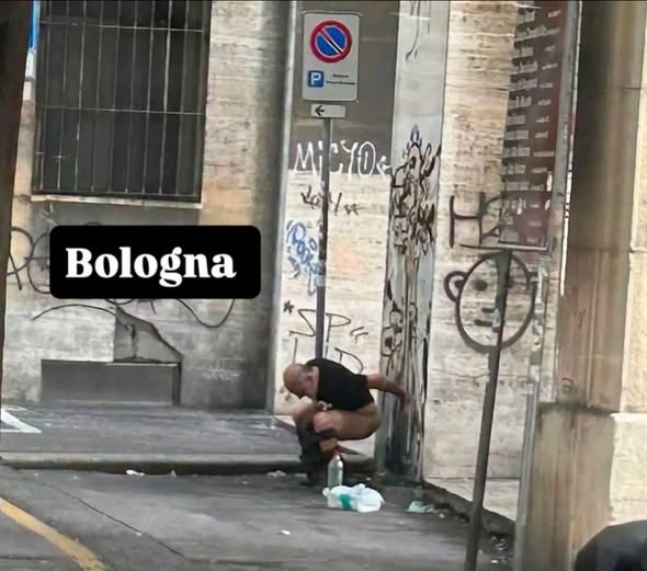 RobertoAvventu2's tweet photo. BOLOGNA: CESSO D’ITALIA
Un tempo Bologna era la città dell’arte, della cucina, dei luoghi da scoprire in un centro storico vivibile e accogliente; oggi le cose sono molto cambiate: la bellezza dei vicoli e delle piazze ha lasciato spazio al degrado urbano e alla delinquenza, i profumi delle nostre eccellenze culinarie sono stati coperti da una costante e nauseabonda puzza di merda e piscio, le botteghe di artigianato sono quasi scomparse, rimpiazzate dai negozi di bangladini e pakistani.
Bologna è lentamente diventata un cesso a cielo aperto.
Le famose risorse del Partito Democratico hanno preso in ostaggio la città e ne fanno ciò che vogliono, sono i veri impuniti di questa società: possono pisciare e cacare per terra, alimentare scontri con le forze dell’ordine, spacciare in pieno giorno, movimentare risse, tentare rapine a mano armata, nulla sarà loro mai contestato.
Per i bolognesi la vita, al contrario, è diventata molto più difficile: mezzi pubblici disastrati con maggiorazione dei biglietti, viabilità urbana paralizzata dal traffico, servizi peggiorati in ogni settore, insicurezza aumentata ovunque, sanità pubblica al collasso, scuole pubbliche divenute ormai catapecchie, strade colabrodo e via dicendo.
Facciamo una prova, la prossima volta che ci scappa troviamoci tutti in piazza maggiore, magari l’amministrazione si sveglierà!