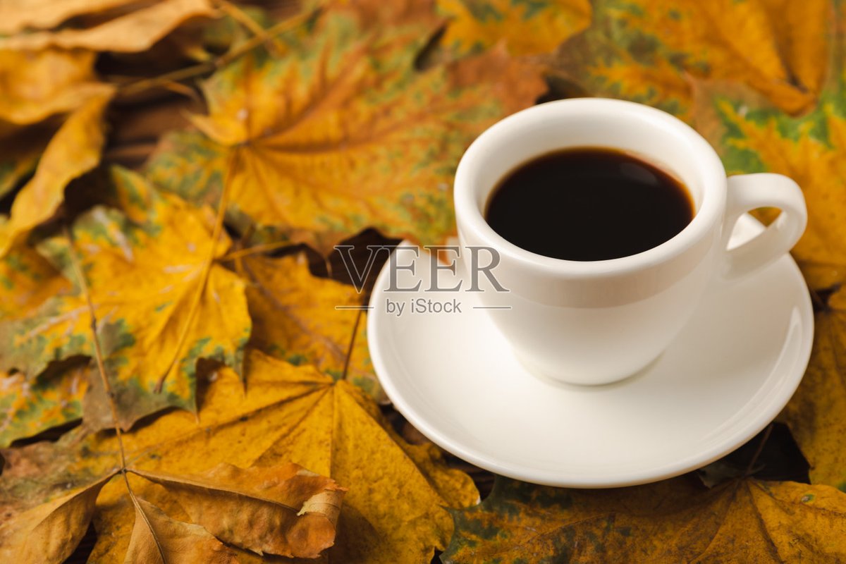 ToyaRaemer's tweet photo. [Autumn breeze + hot coffee = perfect cozy afternoon ]， https://t.co/PYJYwB7pPu
