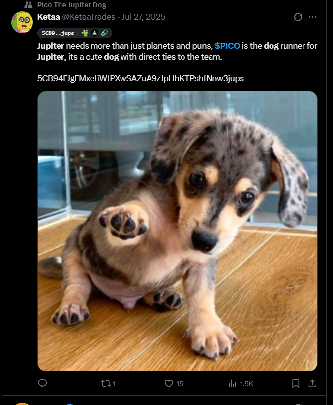 thequantdev1223's tweet photo. Pico was one of the biggest runners on jup as its legit the dog of Kash (CEO of JUP) this is so good, now we can send it on stock!
https://t.co/aqKvLCNwOf https://t.co/vGeI5DlpEg