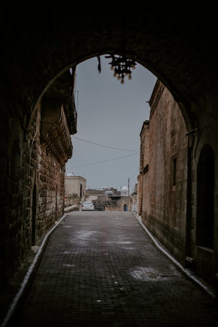adammon_2mf's tweet photo. for yourself like this yourself a real moment of calm, time Give and eustolia mencl🏮 https://t.co/yIyP8ShDDx