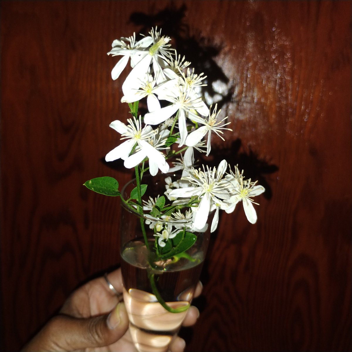 IAMJamena's tweet photo. @steventeaster YESterday's. .
aroMAtHERapy🤍🌿🤍🌿🤍✨✨✨
#Jamena👁️💫👁️🌿
and
🌿jasMINE🤍🌿 https://t.co/1waQdK6rGr