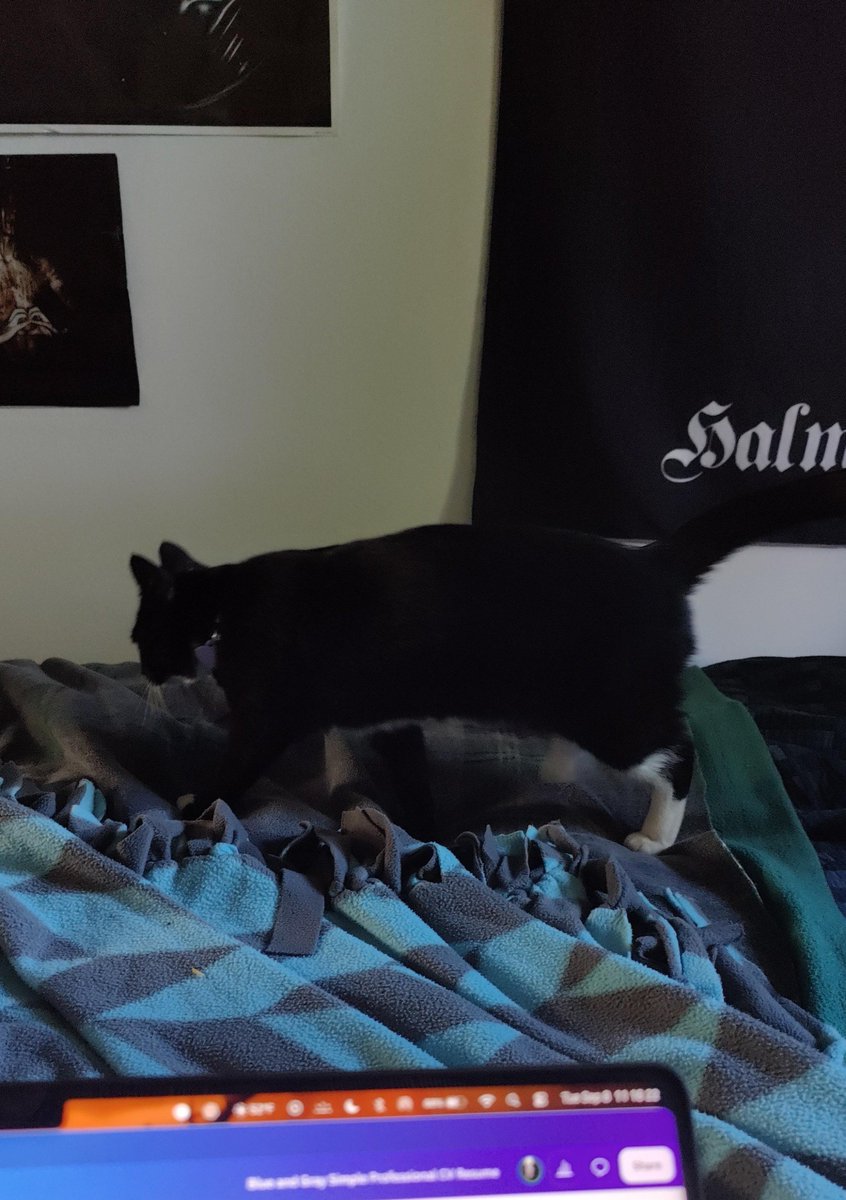 inxiision's tweet photo. New apartment is great solely because I get kisi visits daily https://t.co/HsNtO22K0N