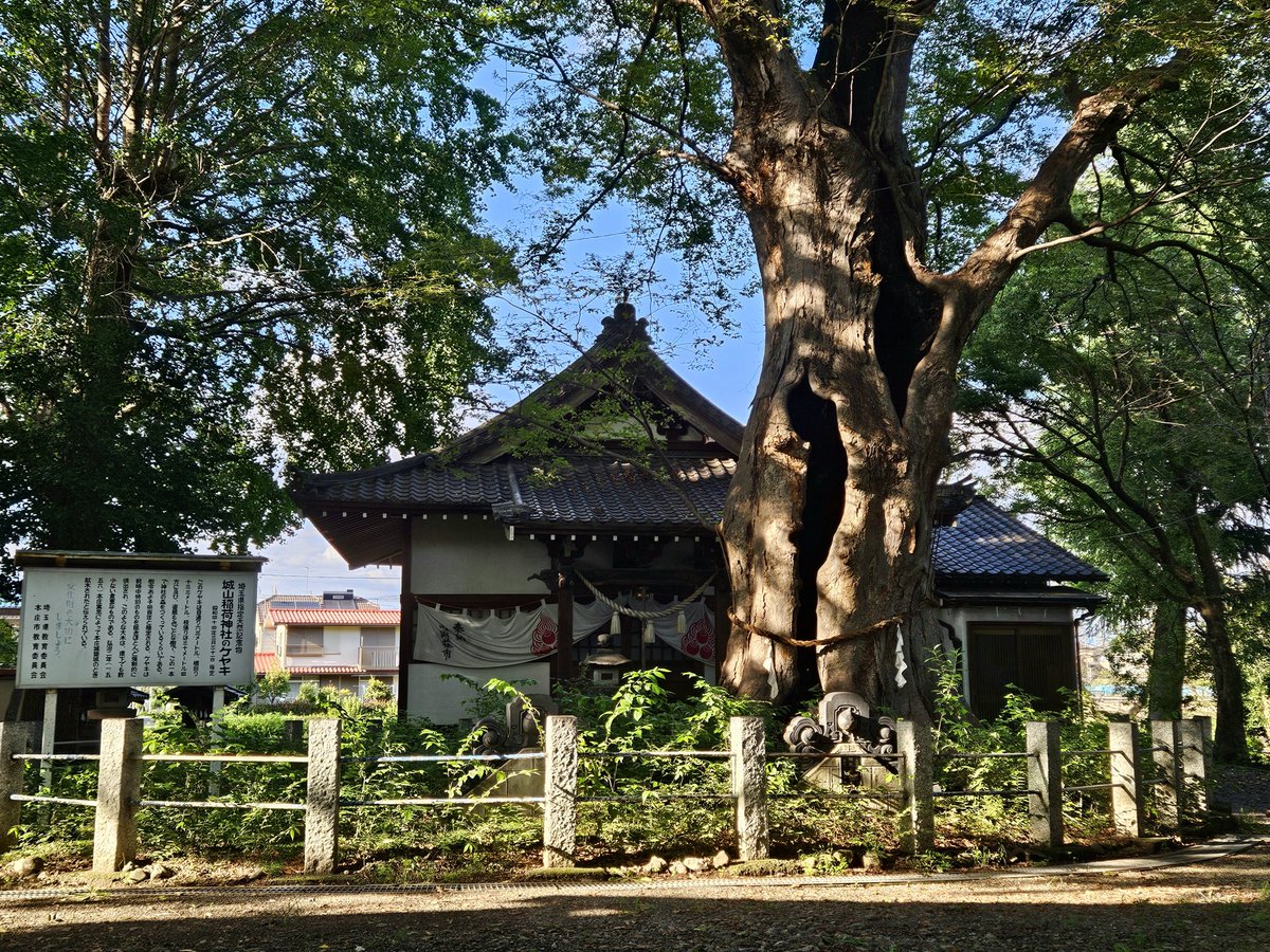 minowa120000's tweet photo. 先日は本庄城に参りました。

「本庄城なんか何も無い」と伺っておりましたが、あるではありませんか！
嘘も大概になさいませ……🤦‍♀️

皆様も実際にご覧になってください。 https://t.co/aREiZ6LpCB