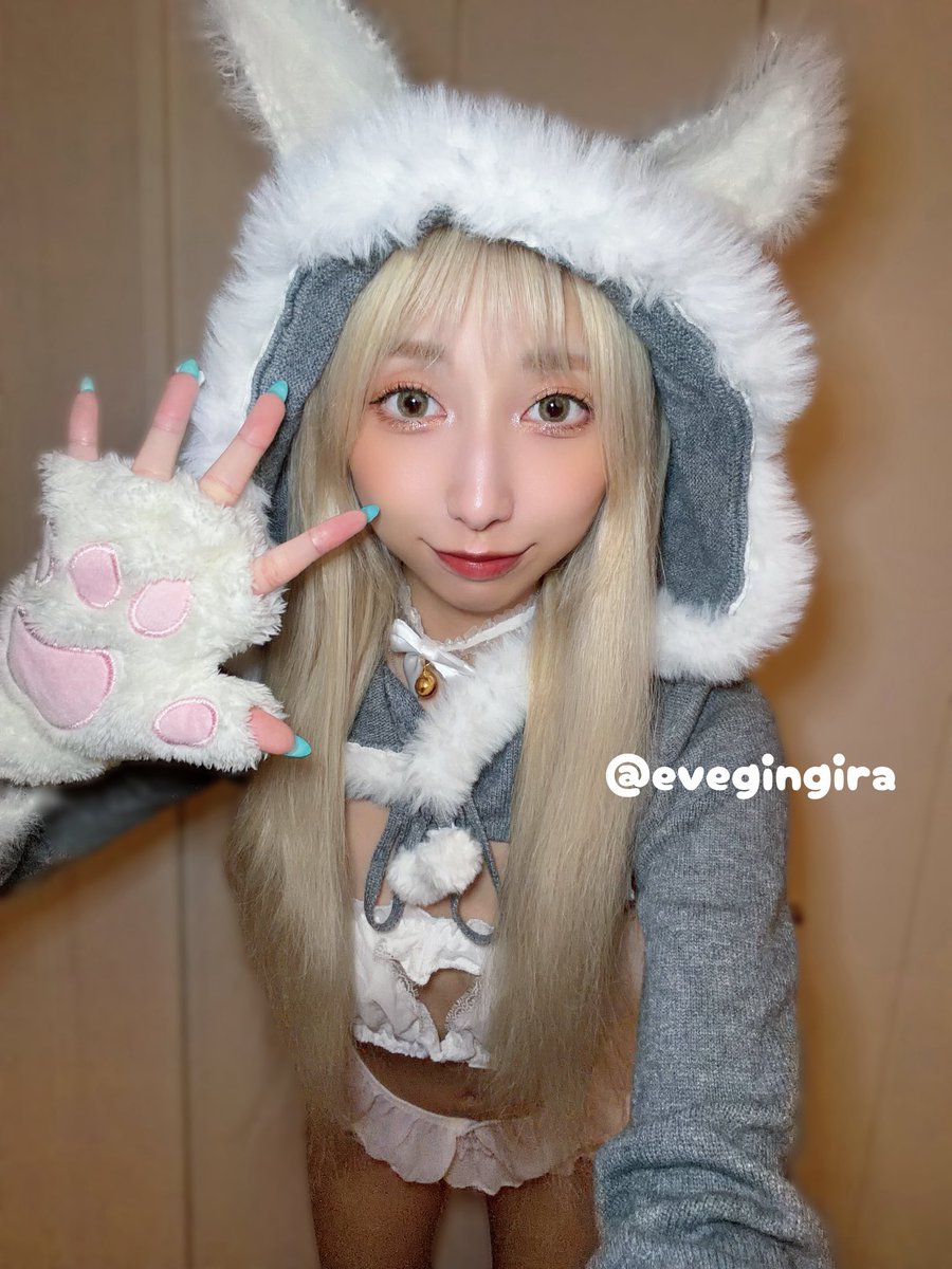 evegingira's tweet photo. にゃん🐈‍⬛💕 https://t.co/yptZabu6AJ