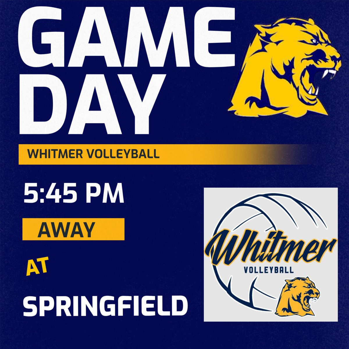 WhitmerAthletic's tweet photo. https://t.co/XLYgT84d3y