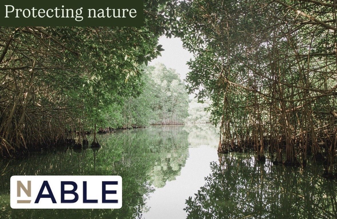 nableuk's tweet photo. Carbon credits represent a growing opportunity for Governments to generate long-term, recurring foreign-currency revenues from their natural assets. n-able offers full end-to-end solution which allow sovereign governments to enter and scale in the carbon markets. #carbon #carbono https://t.co/H9ZSoNHCI9