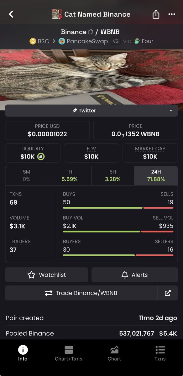 Ridox_01's tweet photo. @moneymancalls @BinanceWallet I hope we all don’t forget the cat name $binance

0xA4Cd53f32336f820E787C25AAa2dF64Aa0A64444 https://t.co/vnCmIt2DYn