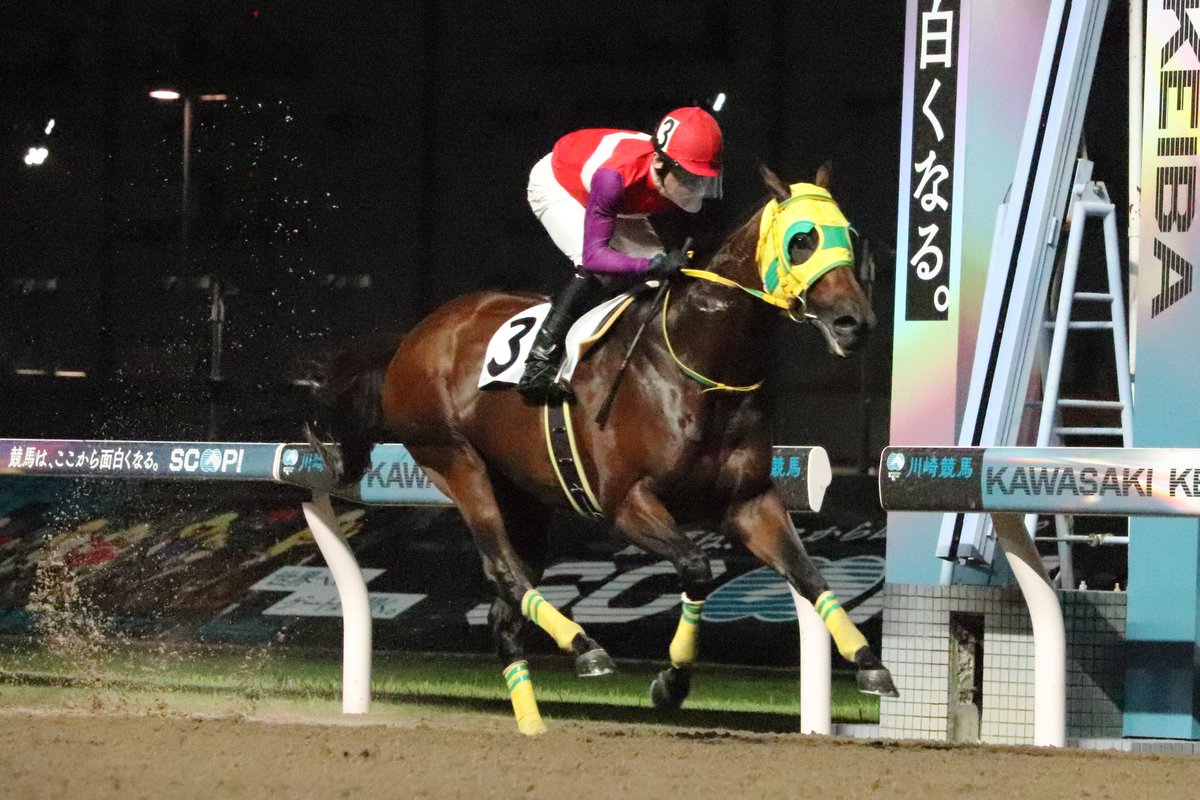 hochichihokeiba's tweet photo. 【 #川崎競馬 ・多摩オープン】
３番人気の③ #アームズレイン （和田譲治）が２戦ぶり勝利を飾りました‼️

和田騎手は本日２勝目💪 https://t.co/l5EinVKBjW
