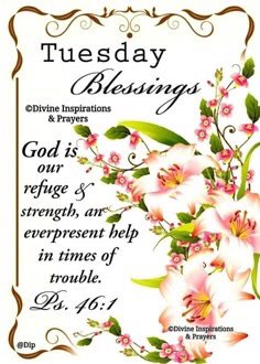 LoveSweetNancy's tweet photo. https://t.co/q3EUhLtWiU