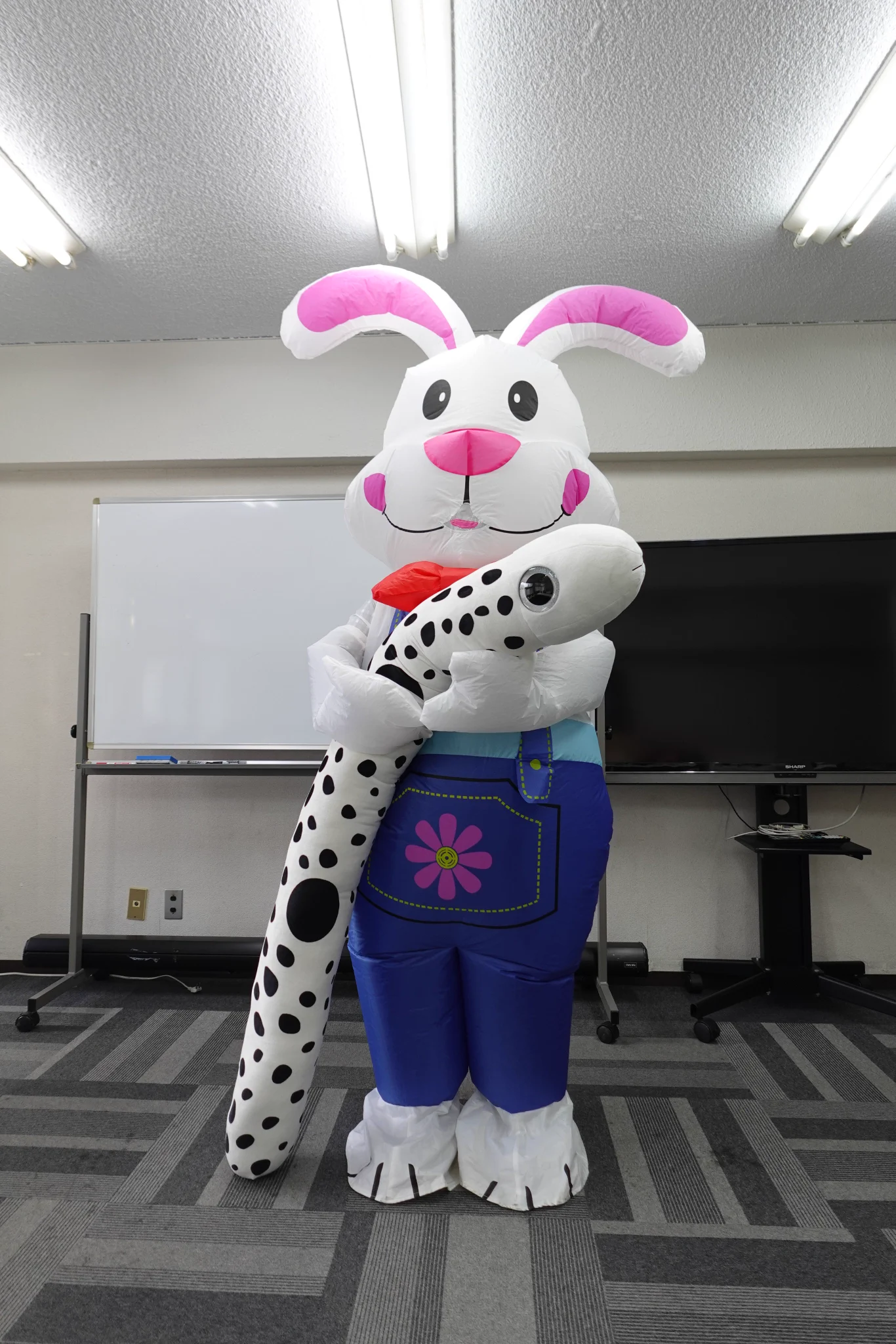 AZ FLASH（クマの着ぐるみはなこ） a X: 
