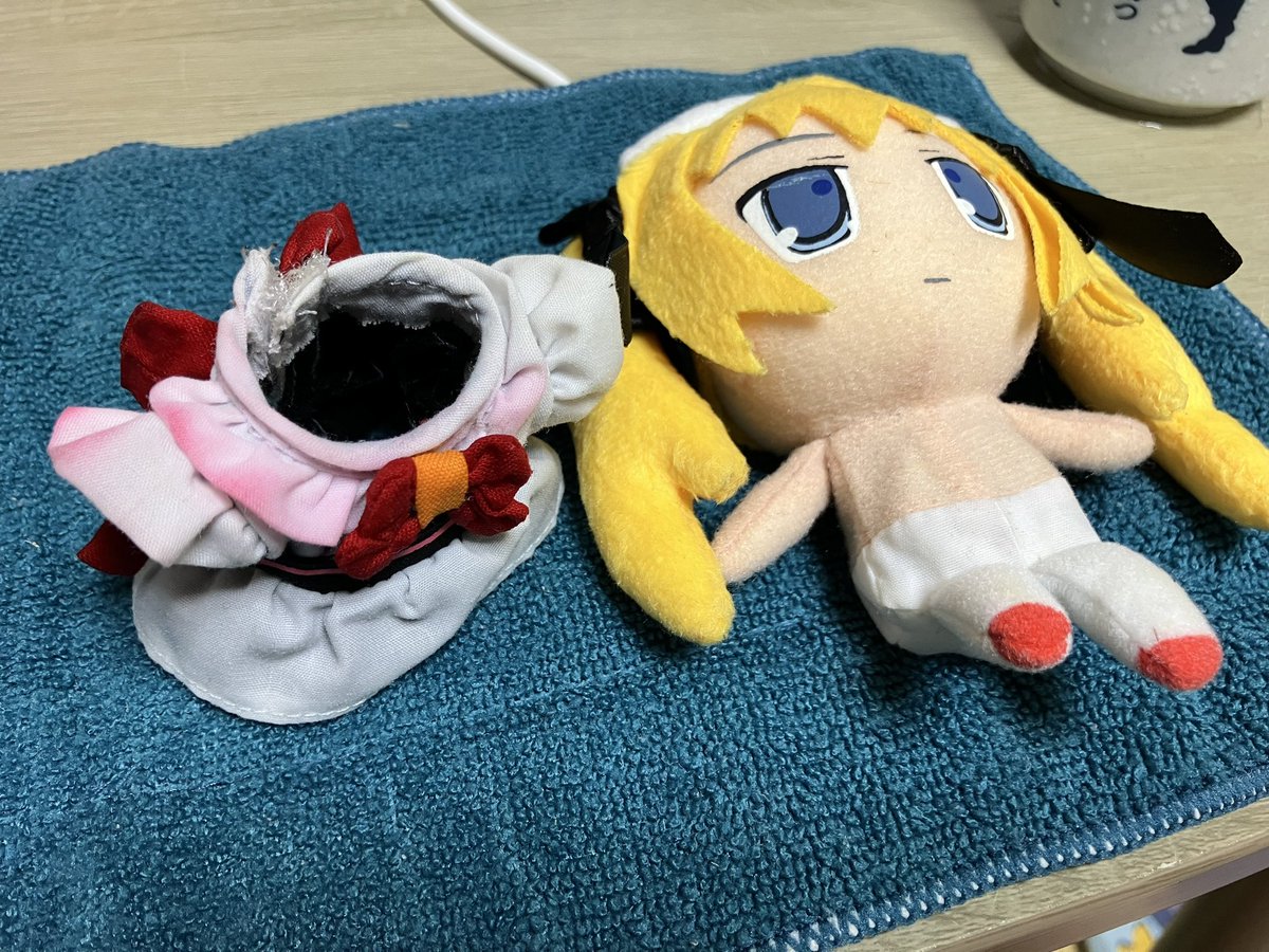manyutin39's tweet photo. こいつ服がめちゃ汚れてたんで洗ってみたら色が移っちゃったんだけど、なんとかできる方法知ってる人います？？ https://t.co/fbmFxeYzoA