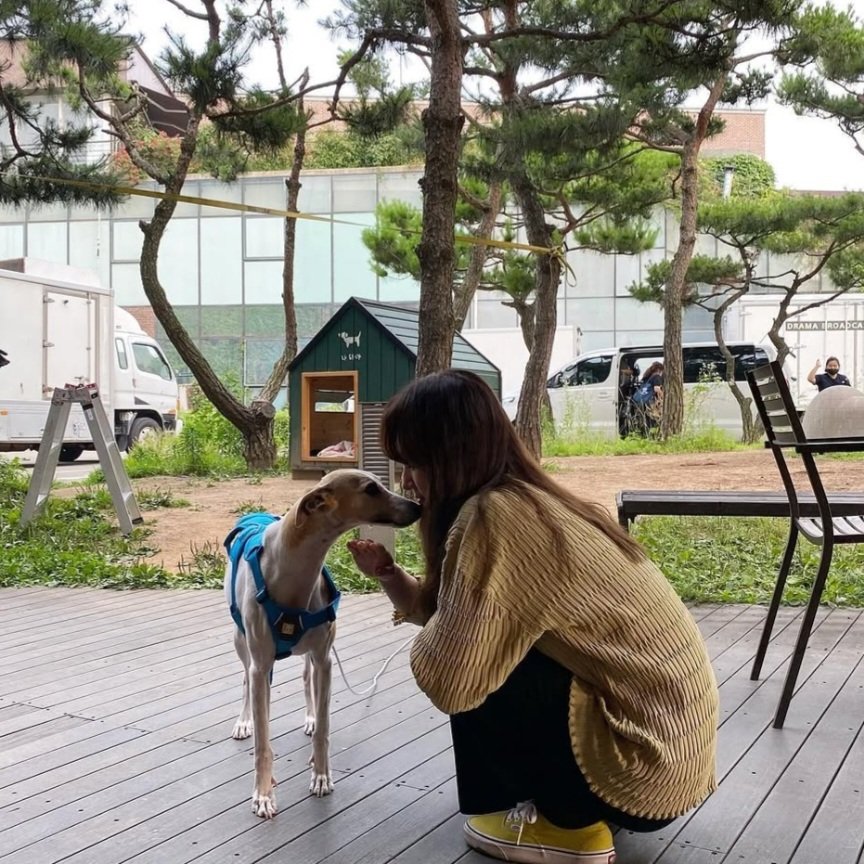 hye_328's tweet photo. 류혜영 남찍사 너무 조으다,,, https://t.co/n63Dyab8S3