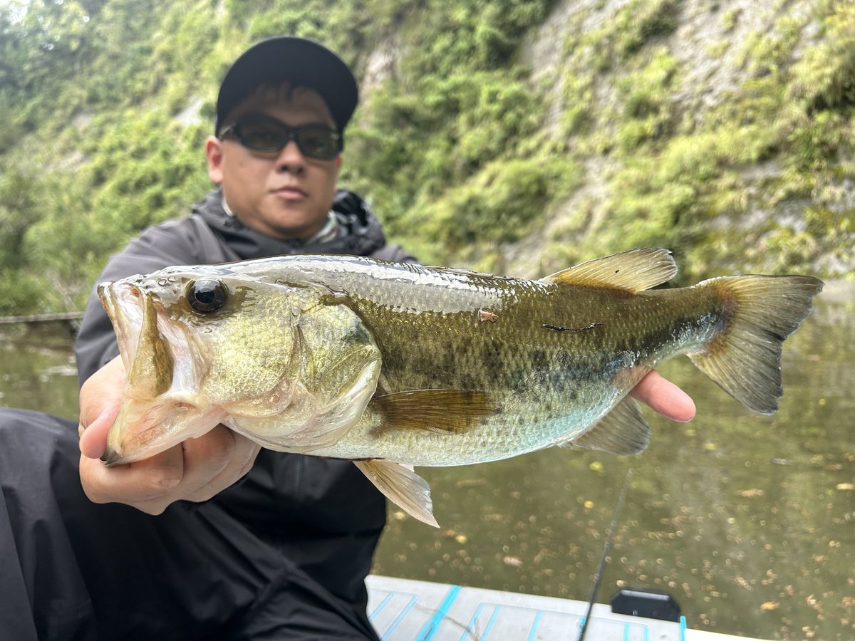 phvmyv's tweet photo. 今日の三島湖
全域に濁りが���ってかつ水温低下で極めてタフ😳
そんな中で一部激アツスポットで良い魚！
デジストのトミーさんが近くにいてめちゃくちゃいい感じに写真撮ってくださり、ありがとうございました！😎

#三島湖
#房総リザーバー
#ともゑボート https://t.co/pLoVruZtDp