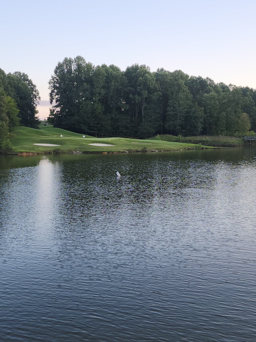 bogdog44's tweet photo. @shebogdan: "could you hit it on the green from here?"

Me: "Absolutely, it's not that far. However, if I don't hit the first one on the green, the next eleven will also go in the water."

#WedgeIssues https://t.co/b6a5fPimcV