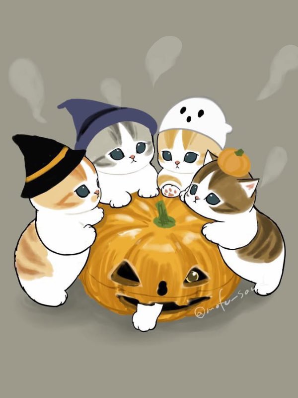 mofu_sand's tweet photo. ハロウィンパーティー待機中🎃 https://t.co/QavYKsIg71