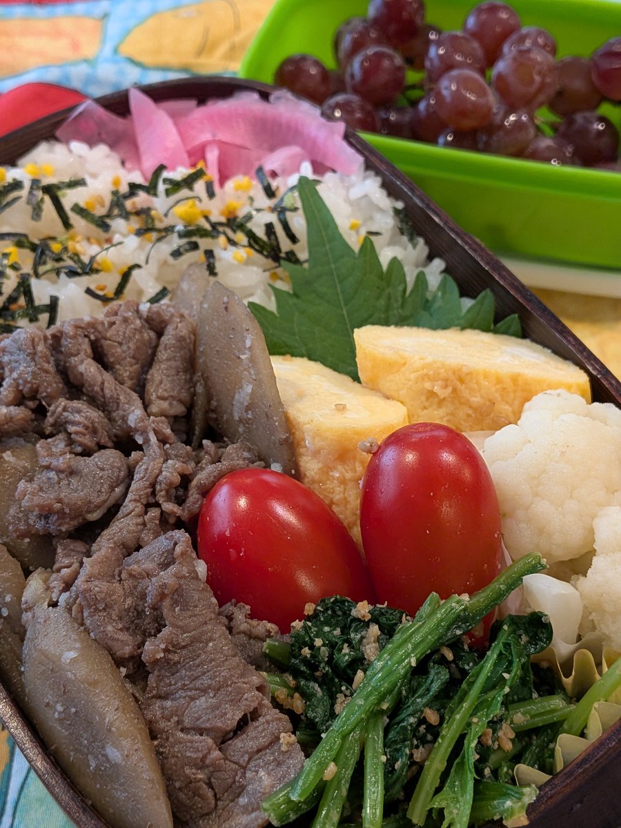 hyaskoy's tweet photo. #065

夕べの牛ごぼう、玉子焼き、ほうれん草ごま和え、カリフラワーのピクルス、など。ごはんは中段に塩昆布、上に梅入りゆかり。

（750ml＋果物）
#男��高校生弁当
#高校生弁当
#お弁当記録 https://t.co/ck9Ewa17xi