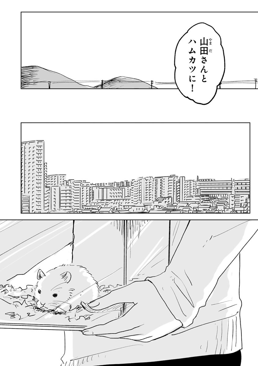 ワンワン山様おまとめ みいちゃんと山田さん【公式】🐹 on X: 
