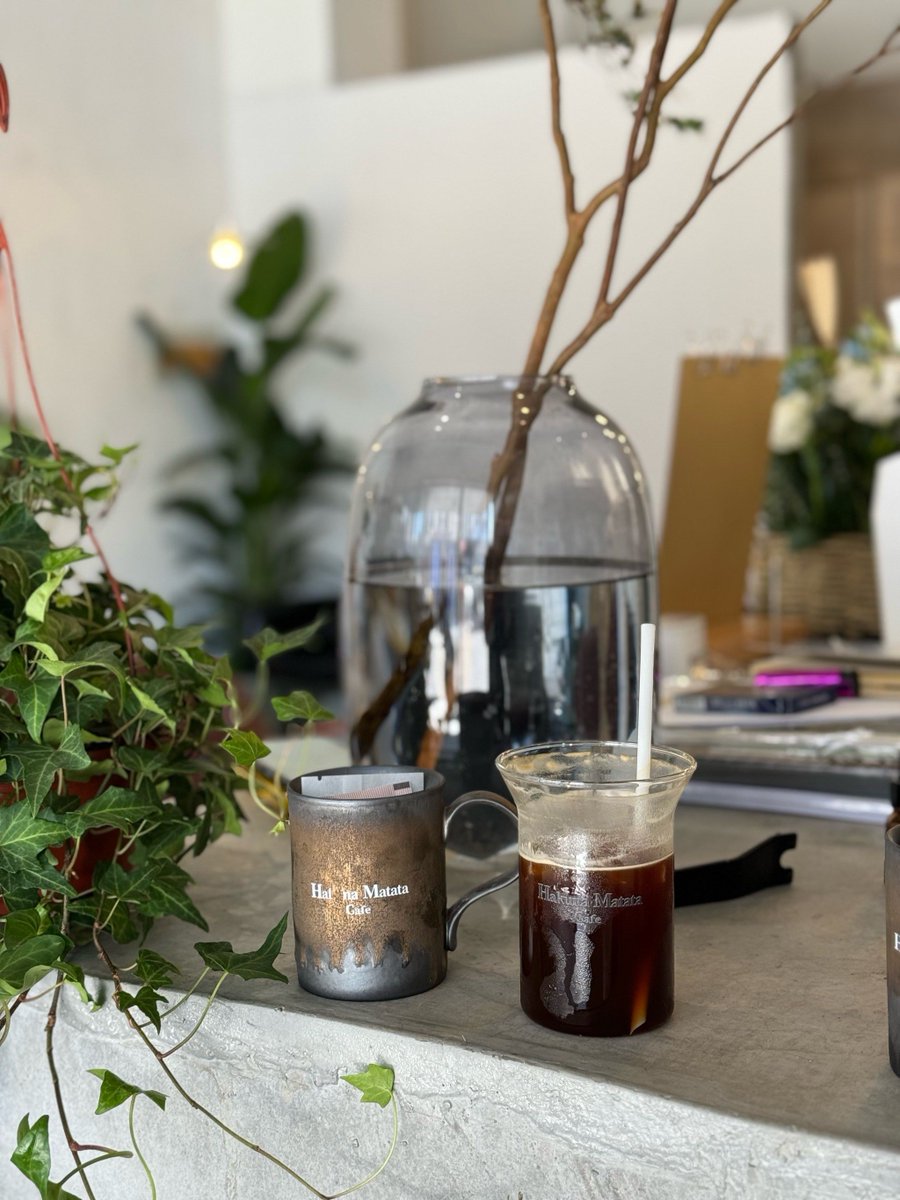 hsvjt11424213's tweet photo. Deadline’s still 3hrs away, desk plant judging me but my coffee’s colder than my motivation today. Guessing the next meme trend is way more important than that spreadsheet. https://t.co/OEPSAExCS0