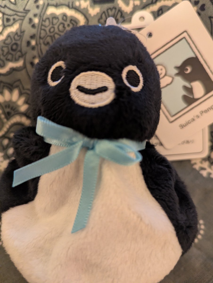 honobon's tweet photo. JREポイントが最後の3倍だから（来月も継続だけど）寄り道した結果。てるてるSuica可愛すぎるだろ…… https://t.co/AERKlEkSz9