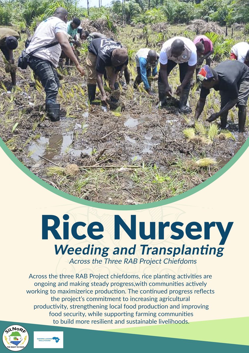 silnorf_'s tweet photo. Across the three RAB Project chiefdoms, rice planting activities are ongoing and making steady progress with communities actively working to maximize rice production The continued progress reflects the project���s commitment to increasing agricultural productivity
@WHHSLE @BMZ_Bund https://t.co/lgeFQzx7mF