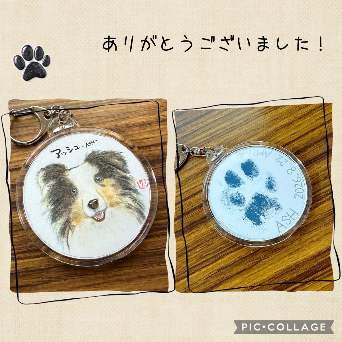 o_r_masui's tweet photo. 以前カフェのイベントでお会いした
花うたさんに、アッシュの似顔絵を描いて頂きました✨
表はイラストで裏は肉球を押してます。

アッシュにそっくりで可愛いくて優しい雰囲気のイラストでとても思い出になります！

#ドッグスクールいろは https://t.co/HlLrlPWrnF