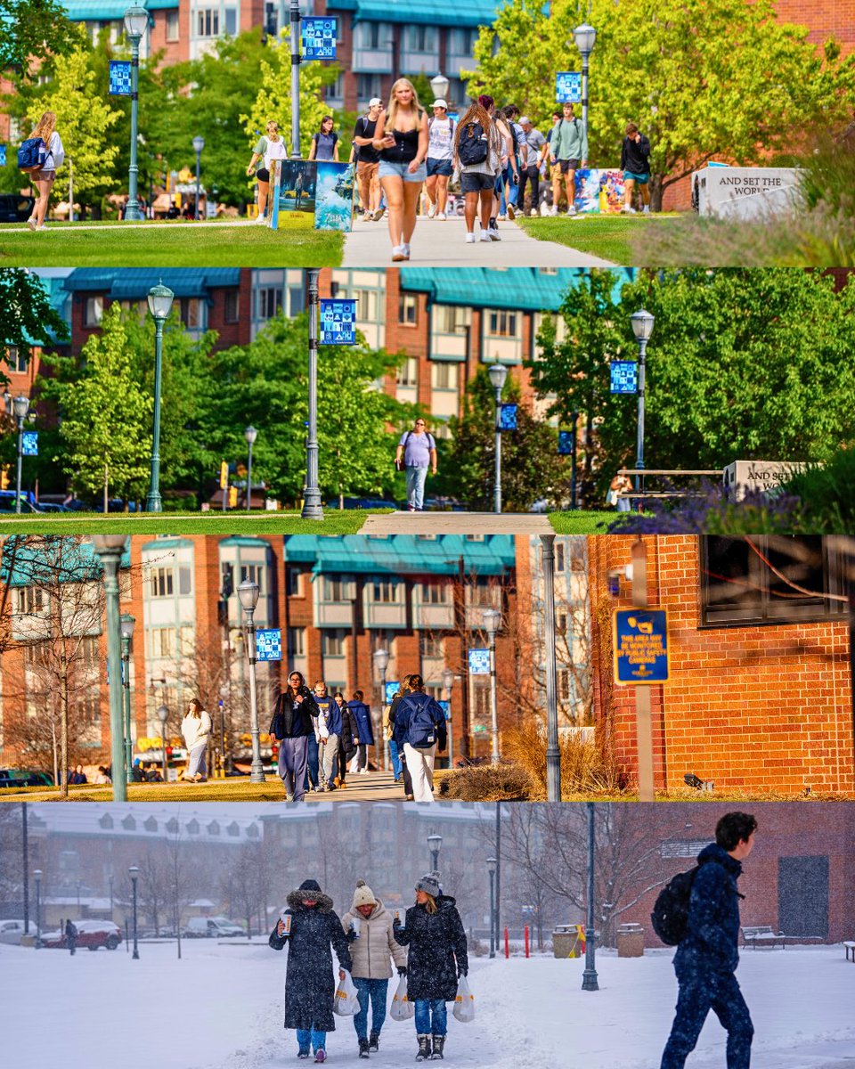 MarquetteU's tweet photo. Four seasons, one beautiful campus 🌳☀️🍁❄️ #MostBeautifulCampus https://t.co/sj4zemLBMY